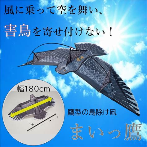 鳥忌|鳥害対策･害鳥駆除の方法まとめ。鳥よけ・防鳥製品。